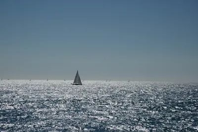 DSC_0383 (Large).JPG